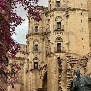  Appartamento Premium - Cathedral Of Spagna